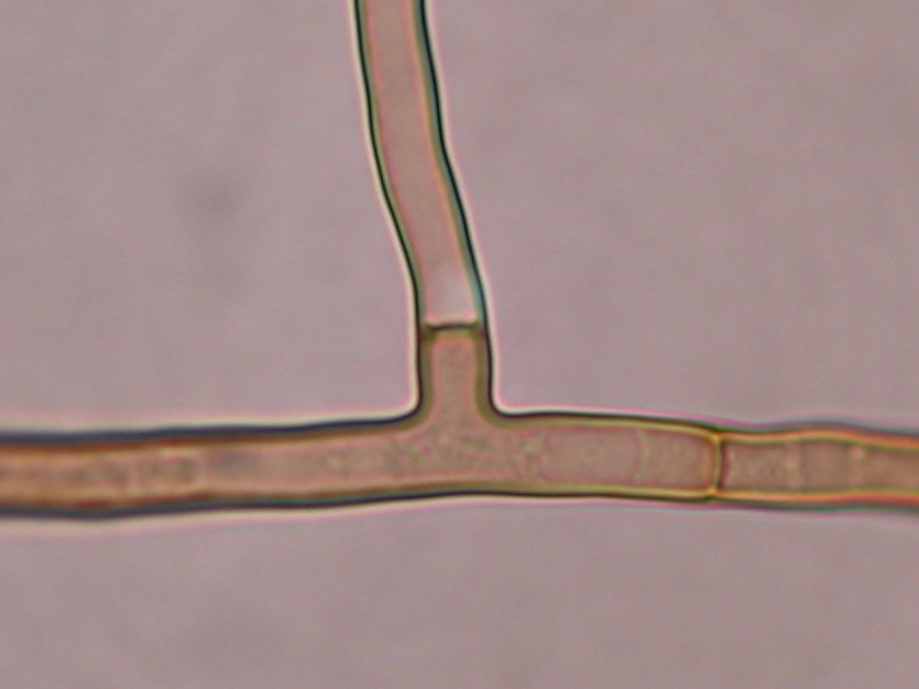 a1d408067b8ab51e1bcde88e6ae27393_1689564811_229.jpg