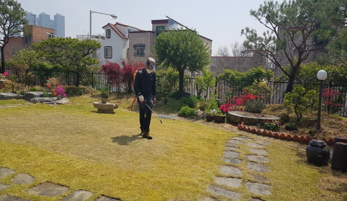 잔디 생육관리